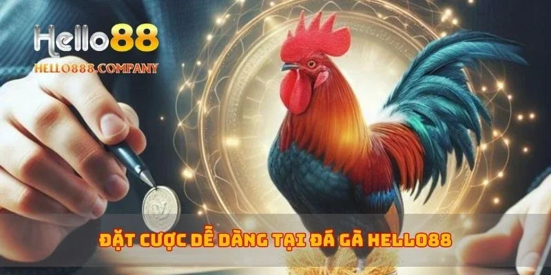 Đặt cược dễ dàng tại đá gà Hello88