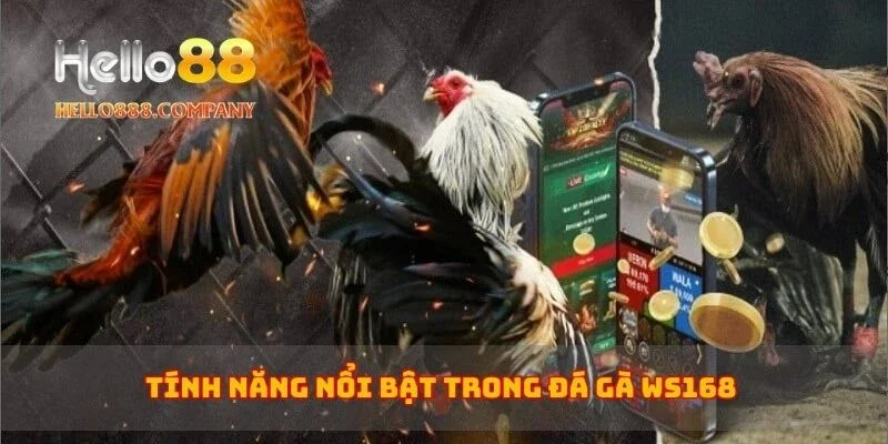Tính năng nổi bật trong đá gà WS168