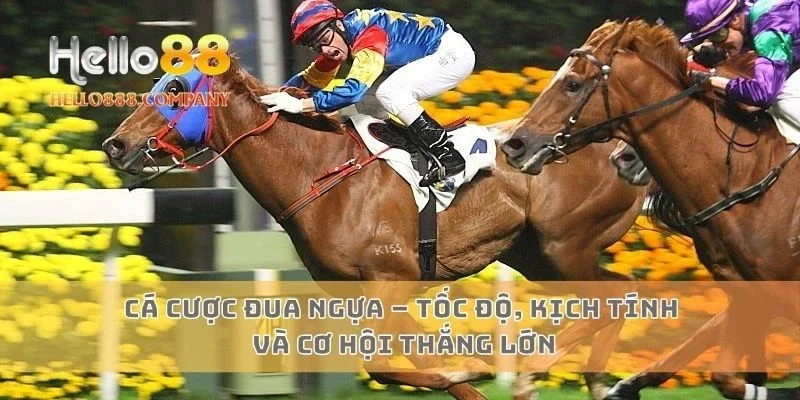 Cá Cược Đua Ngựa – Tốc Độ, Kịch Tính Và Cơ Hội Thắng Lớn