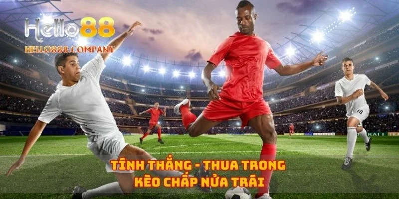 Tính thắng - thua trong kèo chấp nửa trái