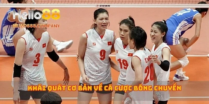 Khái quát cơ bản về cá cược bóng chuyền